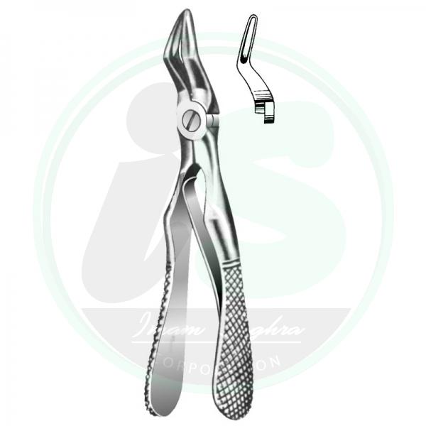 ROOT FORCEPS