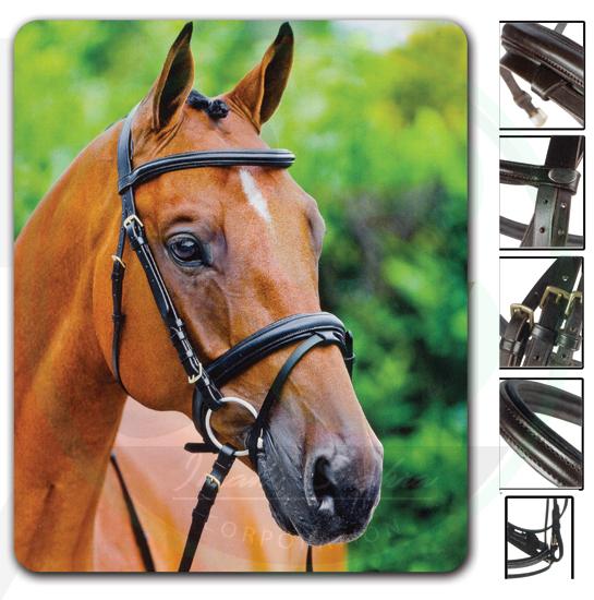 bridles